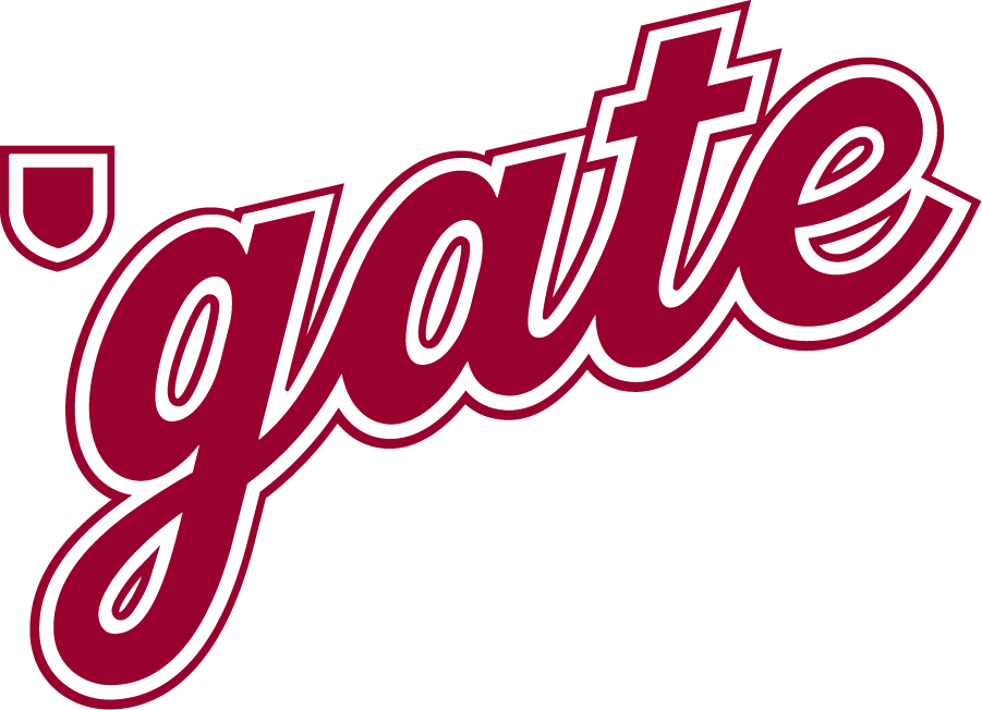 Colgate Raiders 2020-Pres Wordmark Logo v4 diy iron on heat transfer